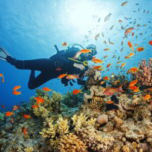 buceo